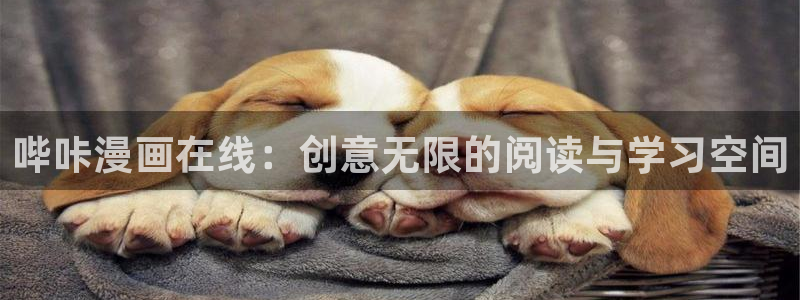 歪歪漫画在线阅读免费漫画阅读：哔咔漫画在线：创意无限的阅读与学习空间