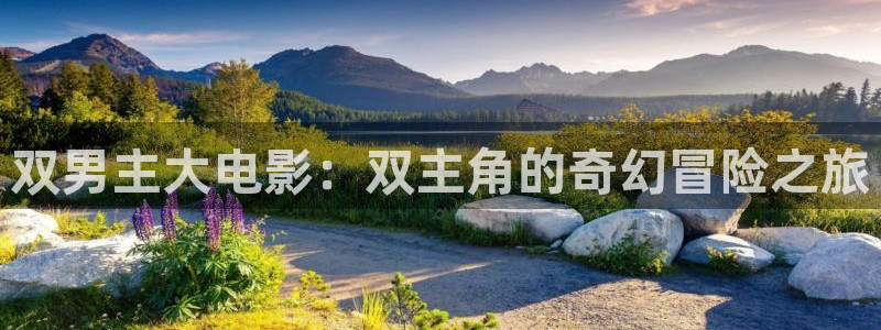 歪歪漫画在线观看首页：双男主大电影：双主角的奇幻冒险之旅