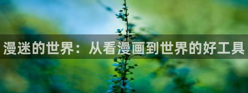 歪歪漫画网羞羞：漫迷的世界：从看漫画到世界的好工具