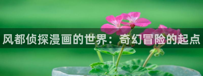 新闻图片